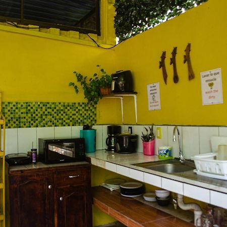 The Jungle Container Bed and Breakfast Quepos Εξωτερικό φωτογραφία
