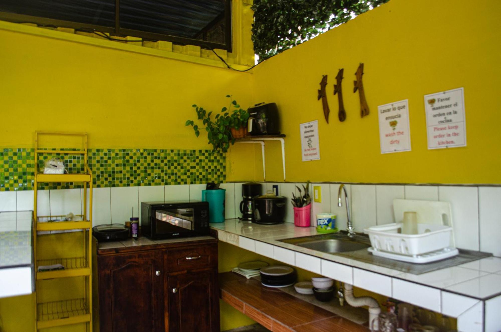 The Jungle Container Bed and Breakfast Quepos Εξωτερικό φωτογραφία